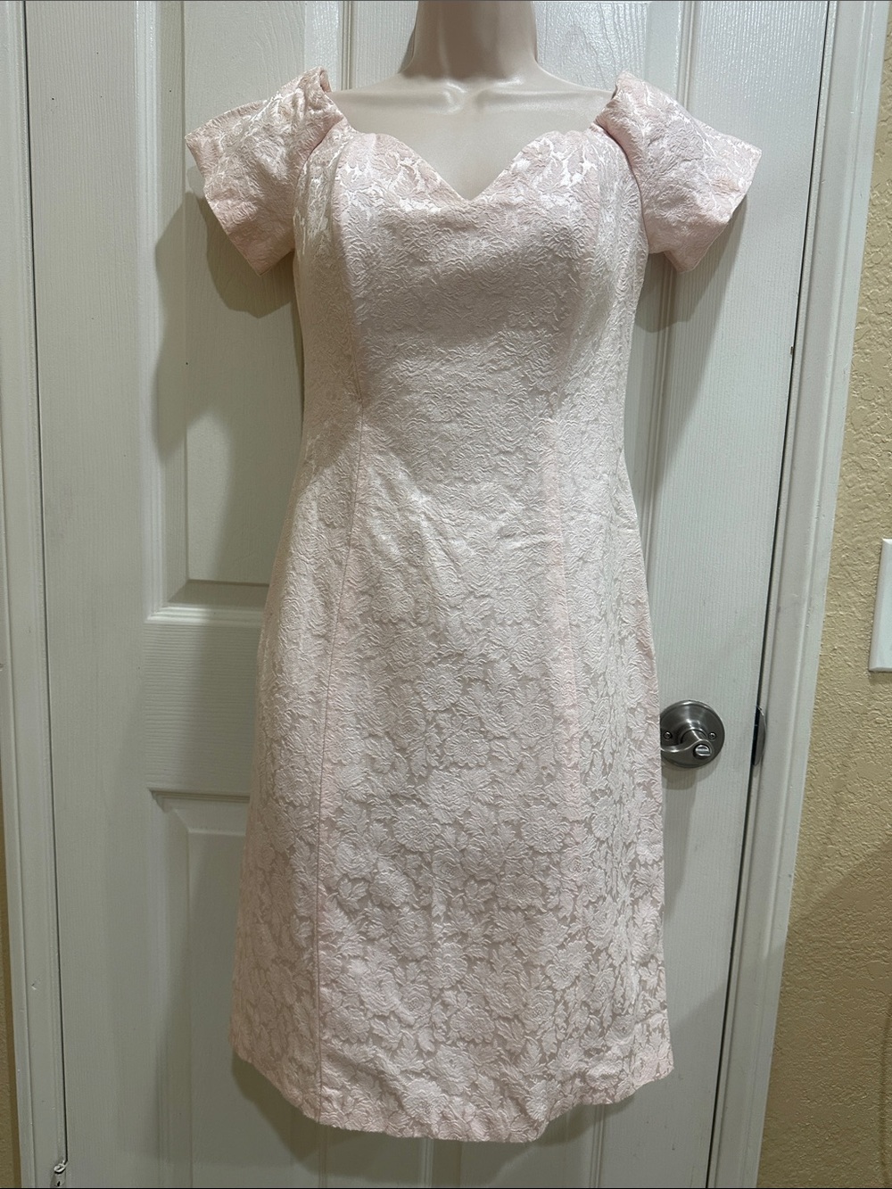 Vintage Women's Blush Lace A-Line Dress